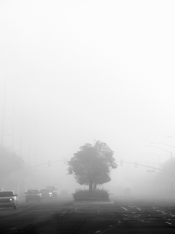 foggy_morning_1