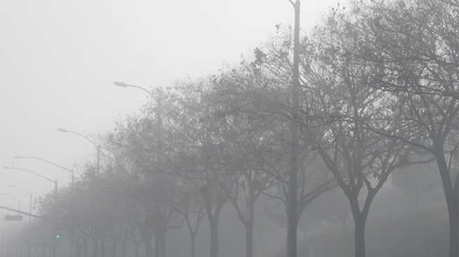 foggy_morning_4
